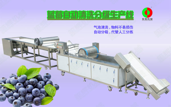 漠河蓝莓/蔬果全自动清洗分级生产线